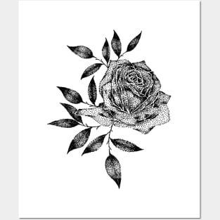 Black Rose Posters and Art